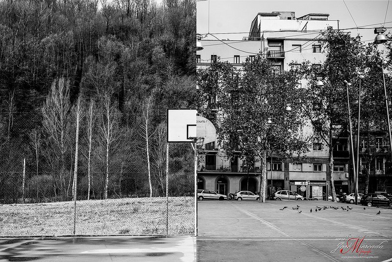 Contrastes